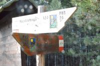Macchialonga11nov2018 (35)